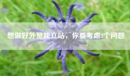想做好外贸独立站，你要考虑3个问题