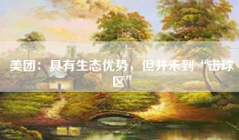 美团：具有生态优势，但并未到“击球区”