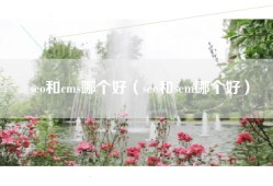 seo和cms哪个好（seo和sem哪个好）