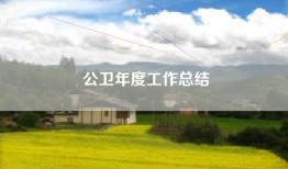 公卫年度工作总结