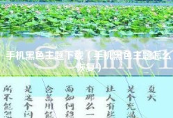 手机黑色主题下载（手机黑色主题怎么恢复）