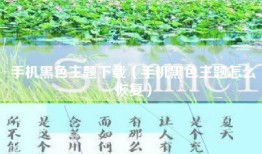 手机黑色主题下载（手机黑色主题怎么恢复）