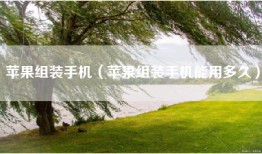 苹果组装手机（苹果组装手机能用多久）
