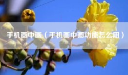 手机画中画（手机画中画功能怎么用）