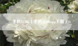 手机12306（手机12306app下载）