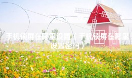 手机锁屏在哪里设置（手机锁屏在哪里设置密码）