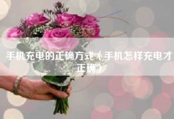 手机充电的正确方式（手机怎样充电才正确）