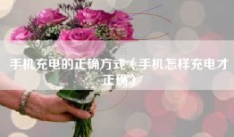 手机充电的正确方式（手机怎样充电才正确）