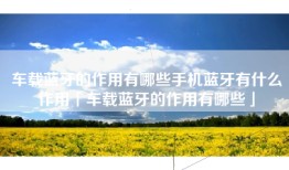 车载蓝牙的作用有哪些手机蓝牙有什么作用「车载蓝牙的作用有哪些」