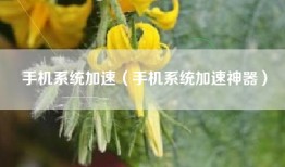 手机系统加速（手机系统加速神器）