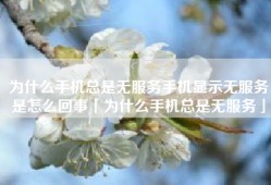 为什么手机总是无服务手机显示无服务是怎么回事「为什么手机总是无服务」