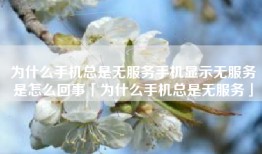 为什么手机总是无服务手机显示无服务是怎么回事「为什么手机总是无服务」