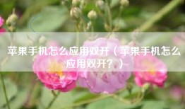 苹果手机怎么应用双开（苹果手机怎么应用双开？）