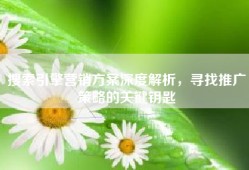搜索引擎营销方案深度解析，寻找推广策略的关键钥匙