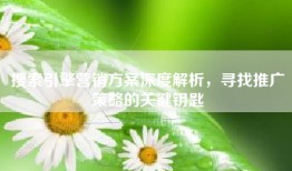 搜索引擎营销方案深度解析，寻找推广策略的关键钥匙