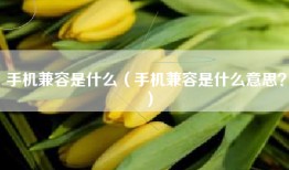 手机兼容是什么（手机兼容是什么意思？）