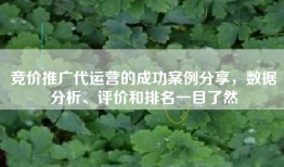 竞价推广代运营的成功案例分享，数据分析、评价和排名一目了然