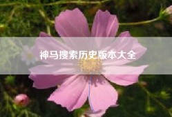 神马搜索历史版本大全