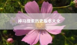 神马搜索历史版本大全