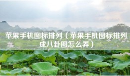 苹果手机图标排列（苹果手机图标排列成八卦图怎么弄）