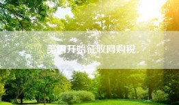 美国开始征收网购税