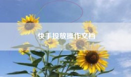 快手投放操作文档