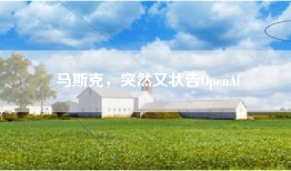 马斯克，突然又状告OpenAl