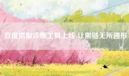 百度抓取诊断工具上线 让黑链无所遁形