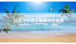 过店子村委会最新动态报道