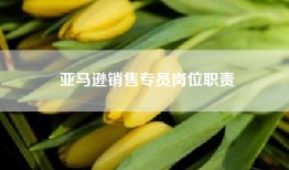 亚马逊销售专员岗位职责