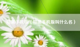 暗黑手机版（暗黑手机版叫什么名）