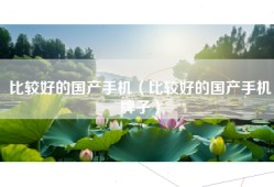 比较好的国产手机（比较好的国产手机牌子）