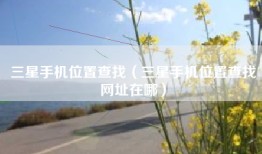 三星手机位置查找（三星手机位置查找网址在哪）
