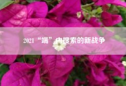 2021“端”内搜索的新战争