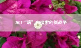 2021“端”内搜索的新战争