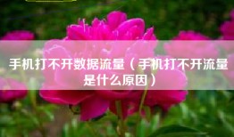 手机打不开数据流量（手机打不开流量是什么原因）