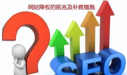网站维护指南（详细介绍网站维护的流程和注意事项）