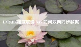 UNRAID 和威联通 NAS 如何双向同步数据