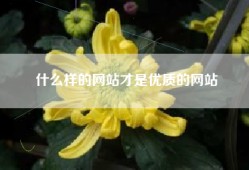 什么样的网站才是优质的网站