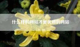 什么样的网站才是优质的网站
