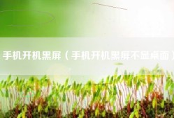 手机开机黑屏（手机开机黑屏不显桌面）