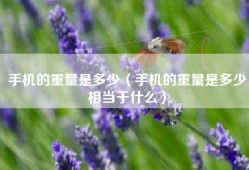 手机的重量是多少（手机的重量是多少相当于什么）
