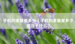 手机的重量是多少（手机的重量是多少相当于什么）
