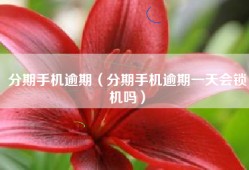 分期手机逾期（分期手机逾期一天会锁机吗）