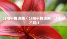 分期手机逾期（分期手机逾期一天会锁机吗）