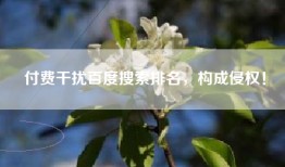 付费干扰百度搜索排名，构成侵权！