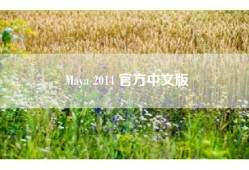 Maya 2014 官方中文版