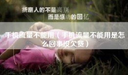 手机流量不能用（手机流量不能用是怎么回事没欠费）