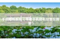 手机隐私系统（苹果手机隐私设置在哪里）