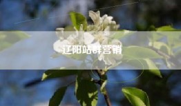 辽阳站群营销